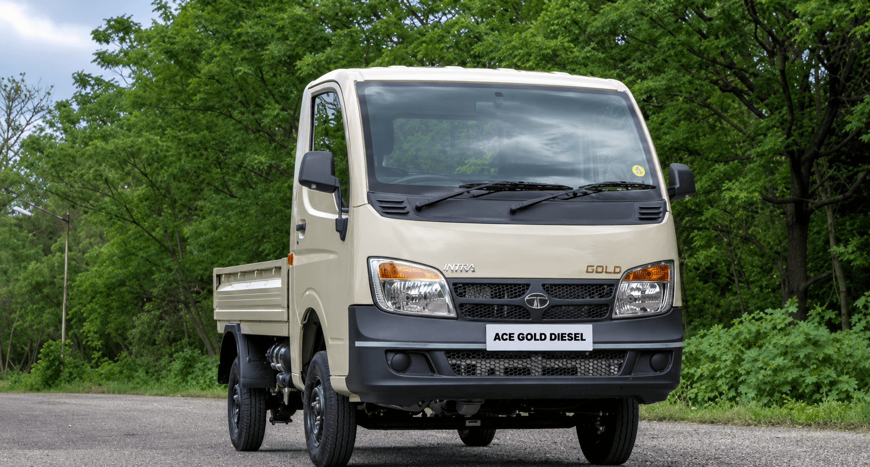 Tata Ace Gold Diesel